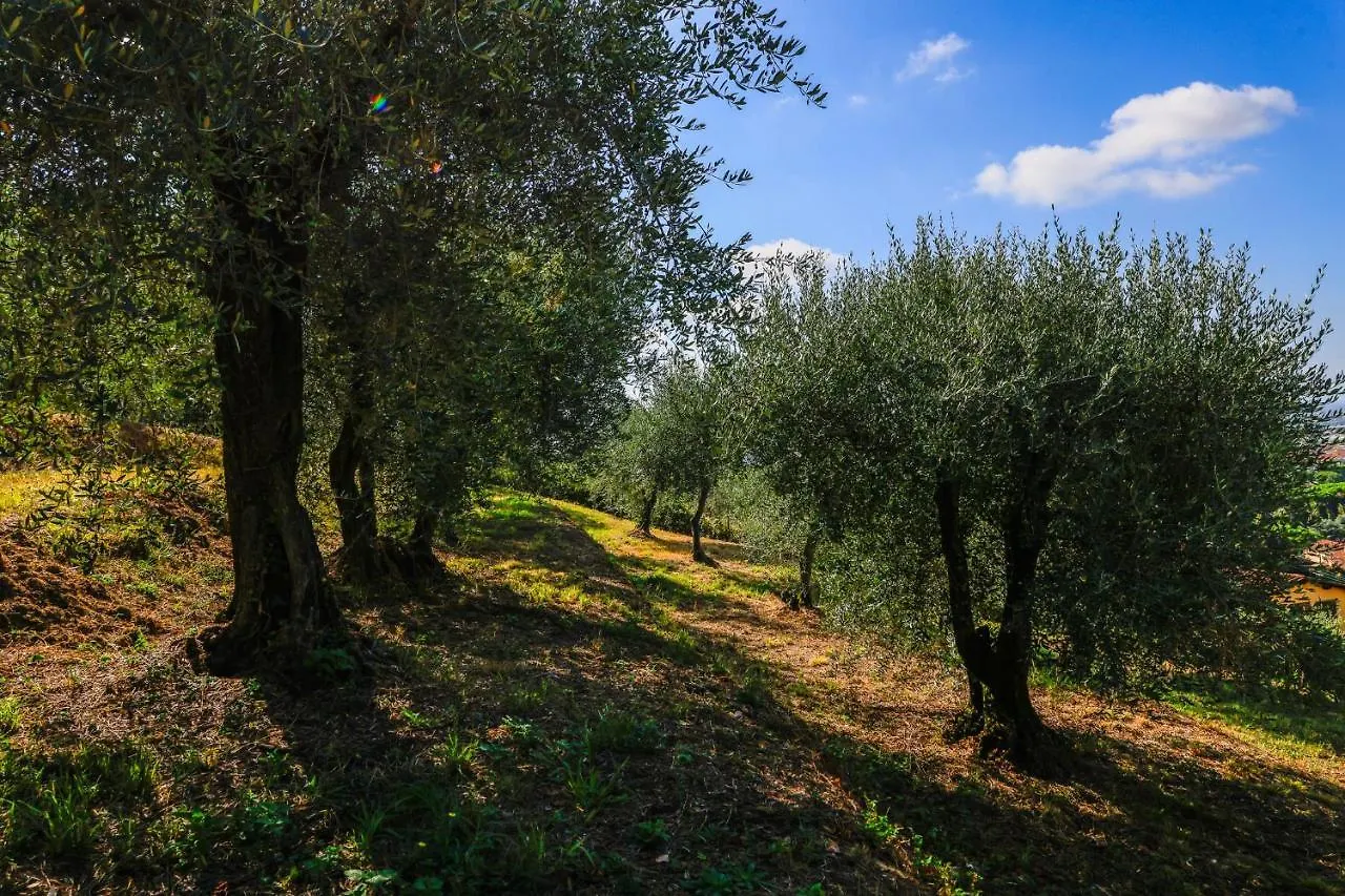 Farm stay Agriturismo Terra Volonteri Montecatini Terme