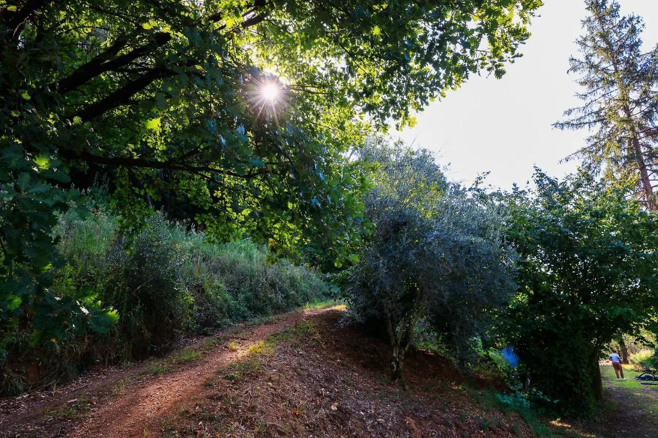 Agriturismo Terra Volonteri Montecatini Terme Farm stay