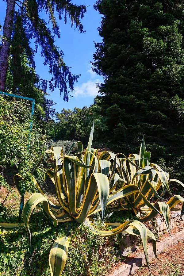 Agriturismo Terra Volonteri Montecatini Terme Italy