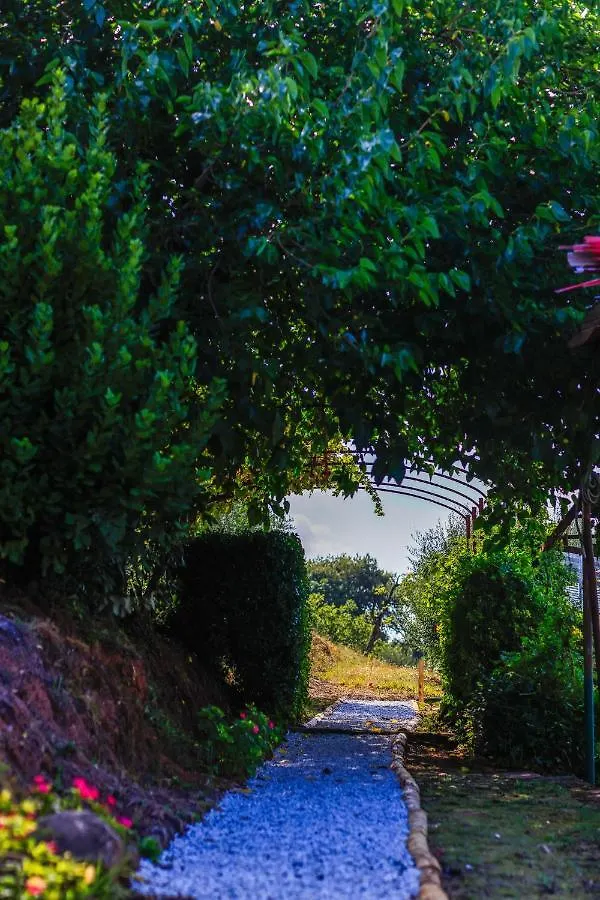 Agriturismo Terra Volonteri Montecatini Terme 0*,  Italy