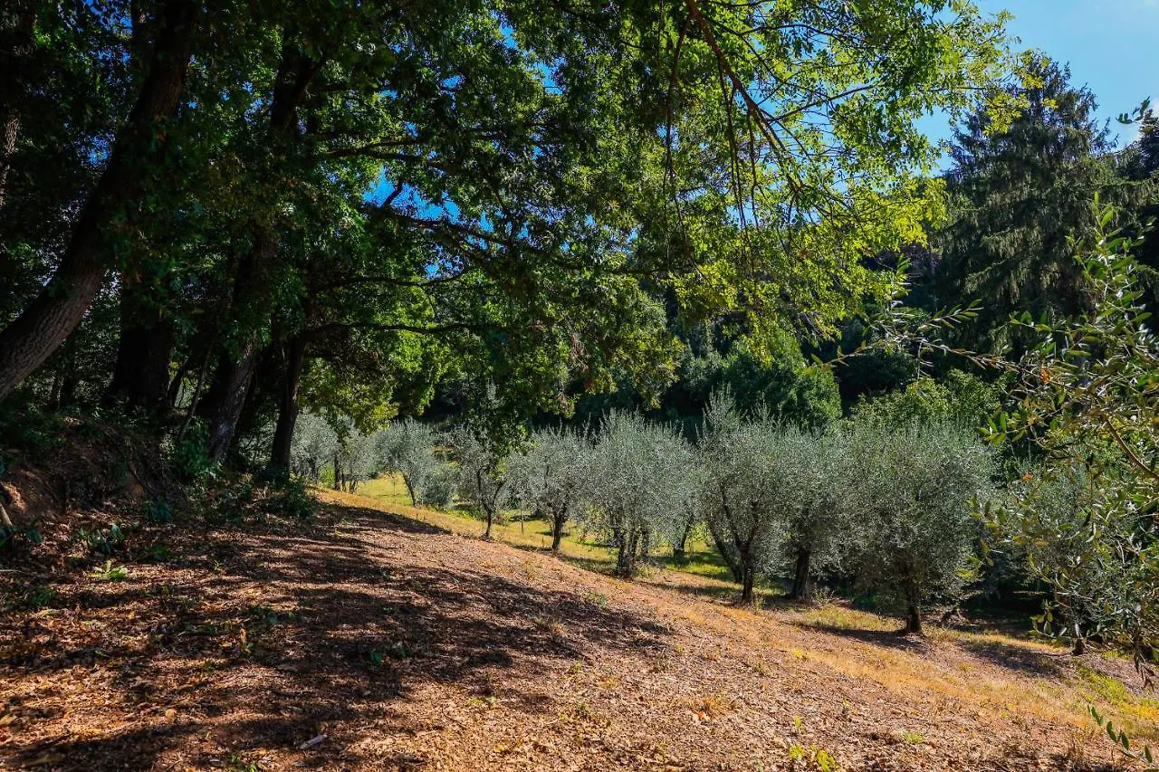 Agriturismo Terra Volonteri Montecatini Terme Farm stay