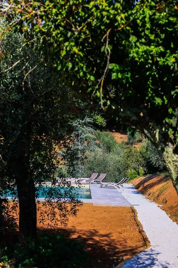 Farm stay Agriturismo Terra Volonteri Montecatini Terme Italy
