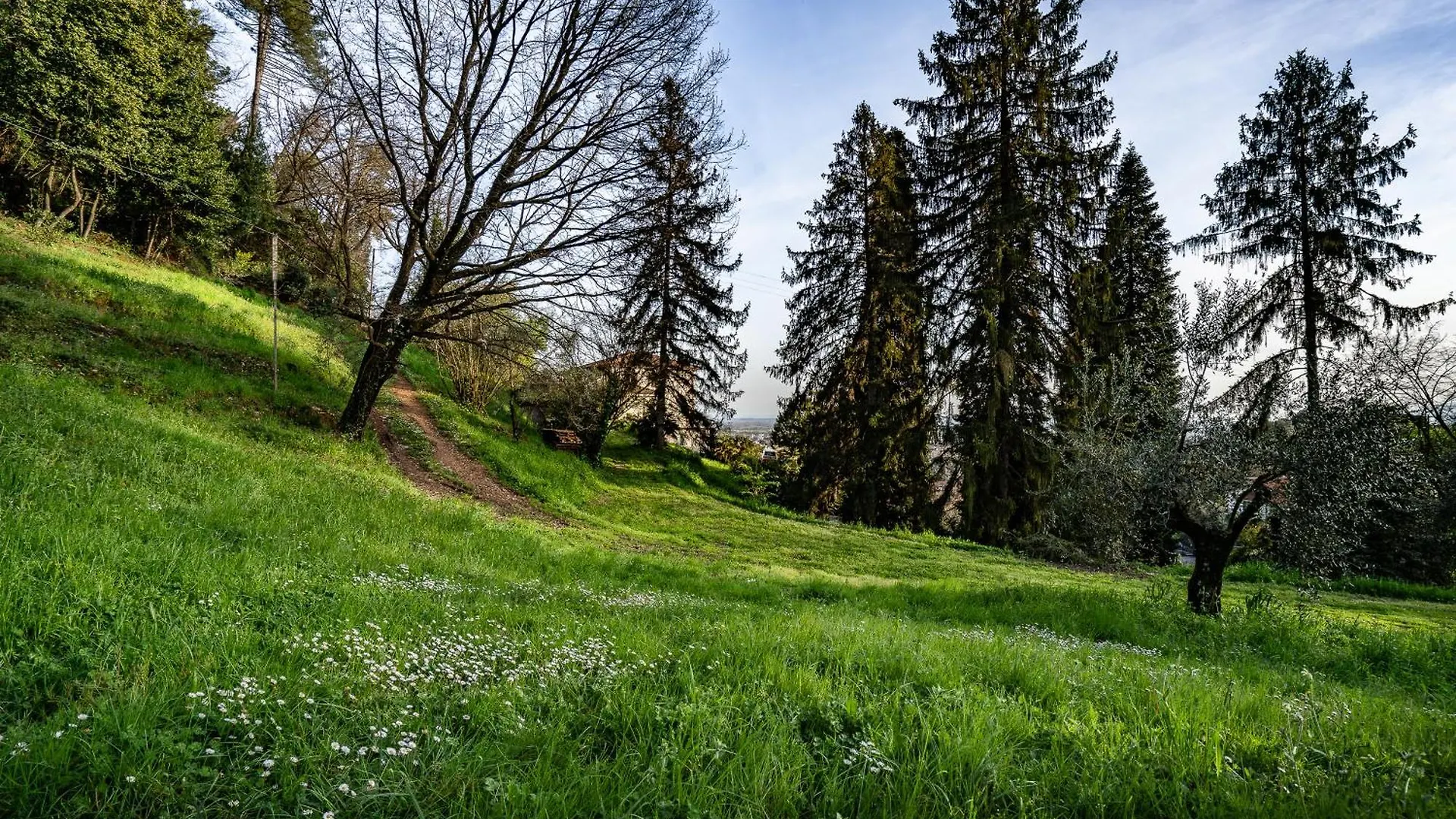 Agriturismo Terra Volonteri Montecatini Terme 0*,  Italy